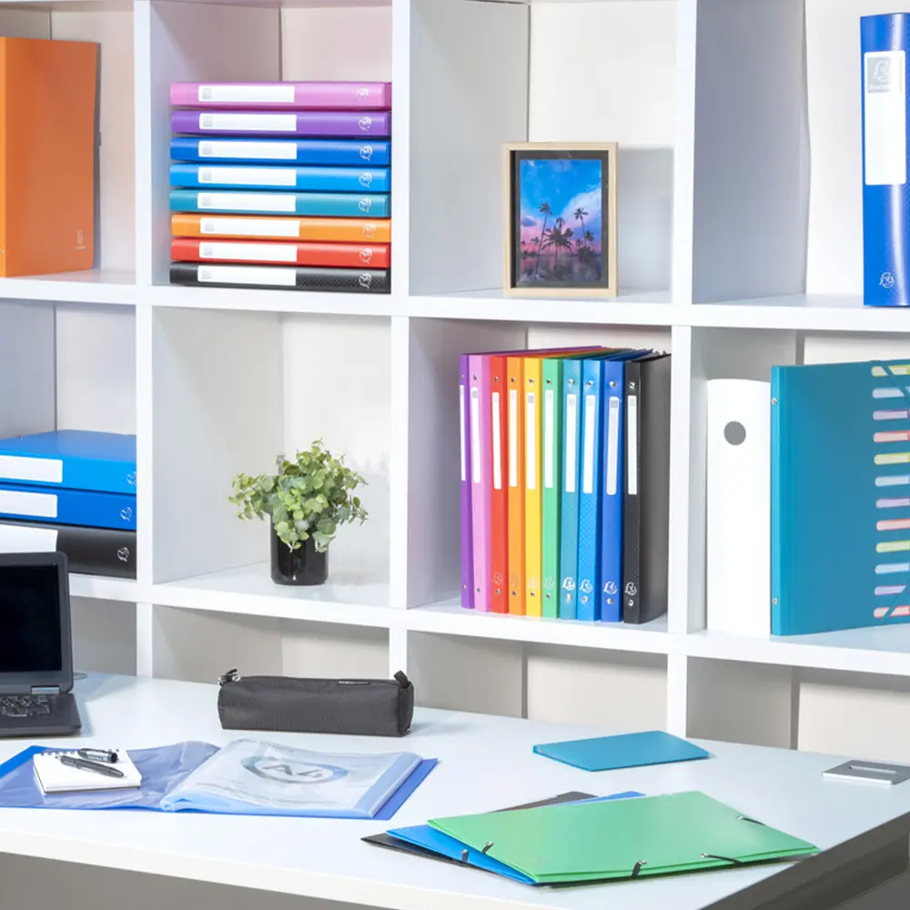 exa88210e-porte-vues-a5-exacompta-opak-mat-40-vues-20-pochettes-3.webp